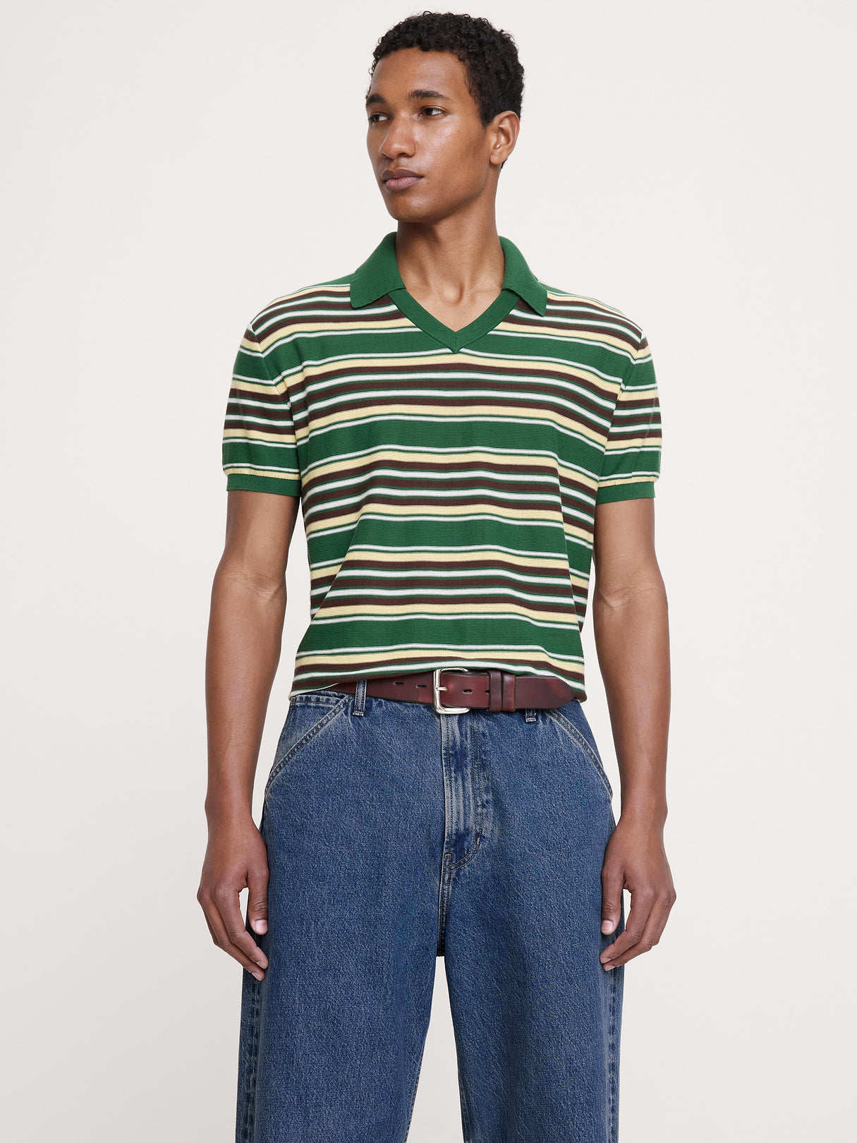 Cotton Sweater Polo - Green Stripe