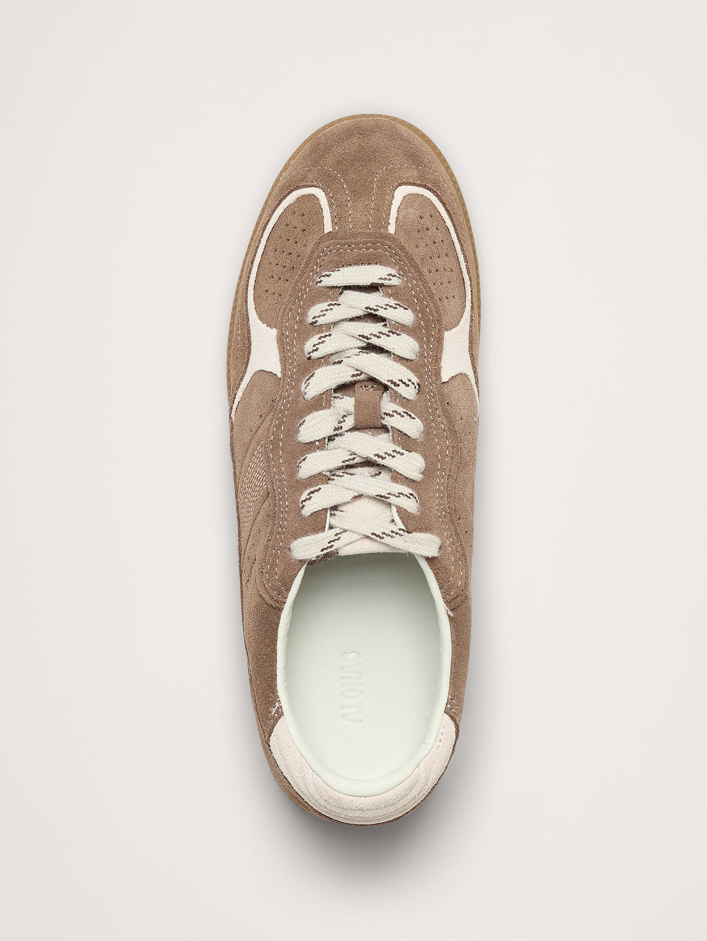 Tb.490 Rife Sneaker by Alohas - Taupe