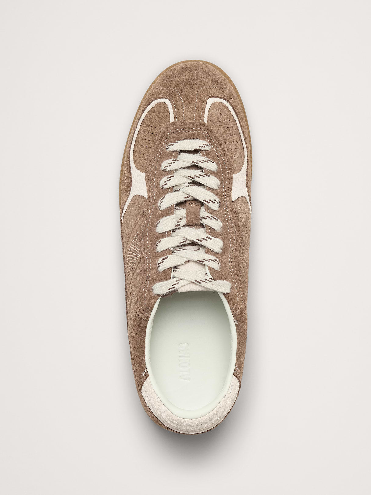 Tb.490 Rife Sneaker by Alohas - Taupe